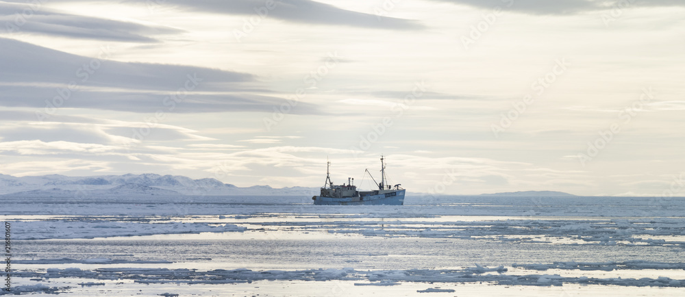 Εκτύπωση καμβά A trawler in Disko Bay, east Greenland