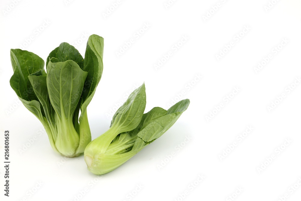 Green Lettuce Cantonese vegetable Green Lettuce Cantonese vegetable