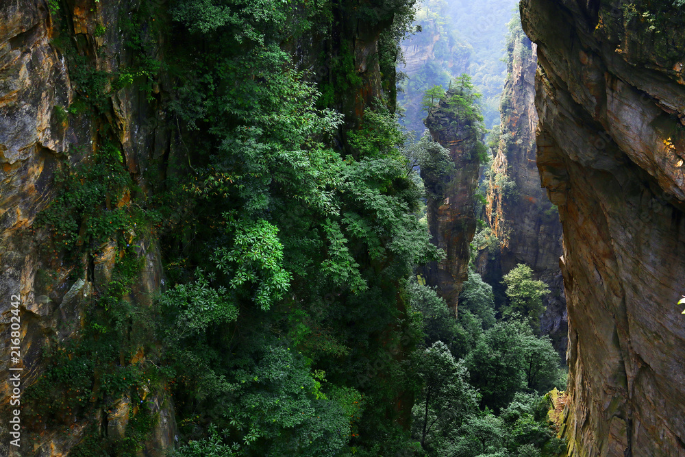 view of limestone cliff in Zhangjiajie national park, hunan,China view of limestone cliff in Zhangjiajie national park, hunan,China