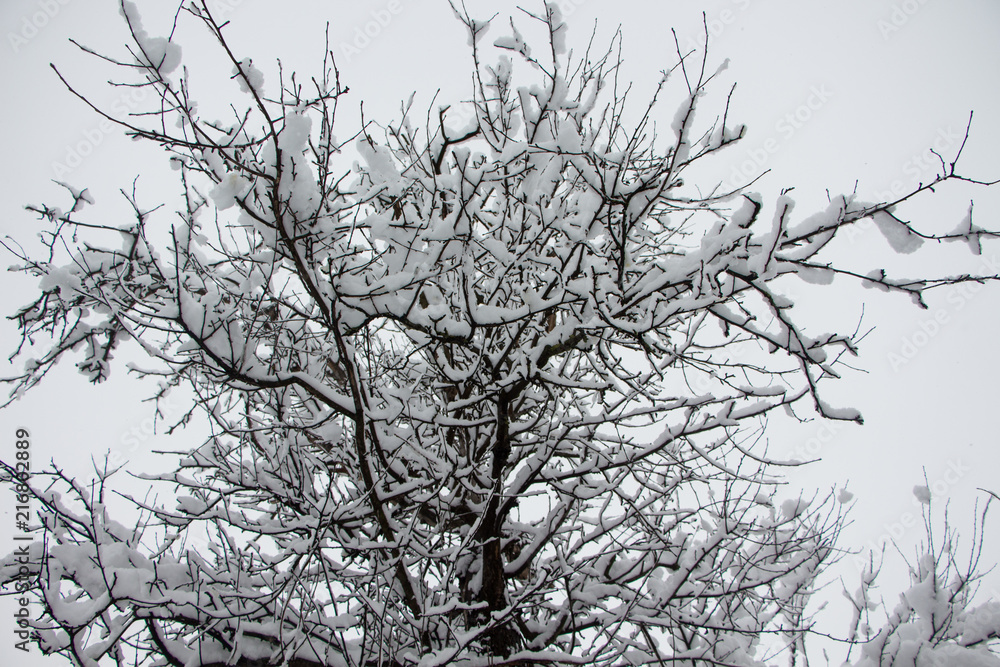 Beautiful winter landscape scene with scene with snow covered trees. Beautiful winter landscape scene with scene with snow covered trees.