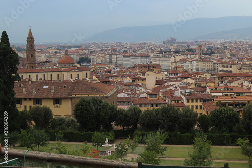 Florence Ariel View