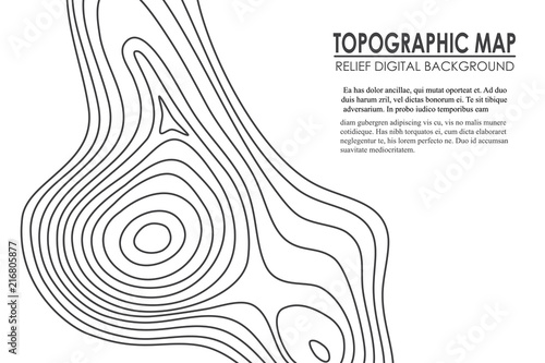 Topographic map contour background. Line map with elevation. Geographic World Topography map grid abstract vector illustration.