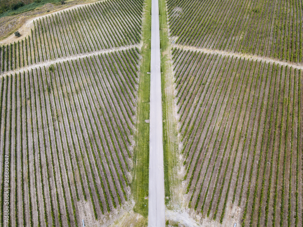 Aerial view of vineyards in Huesca Spain Europe