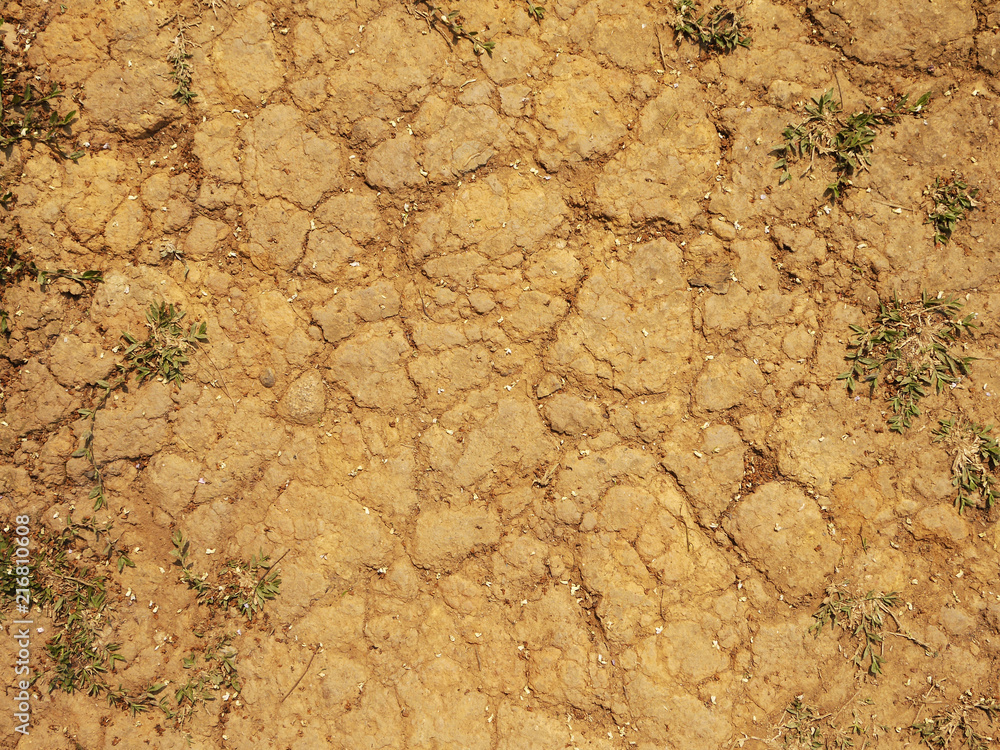 Red Dirt Road texture Red Dirt Road texture