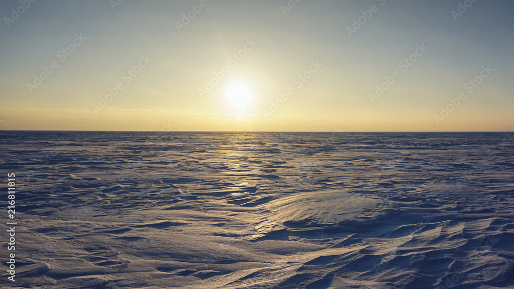 winter desert landscape