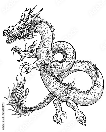 Asian dragon illustration, drawing, engraving, ink, line art, vector