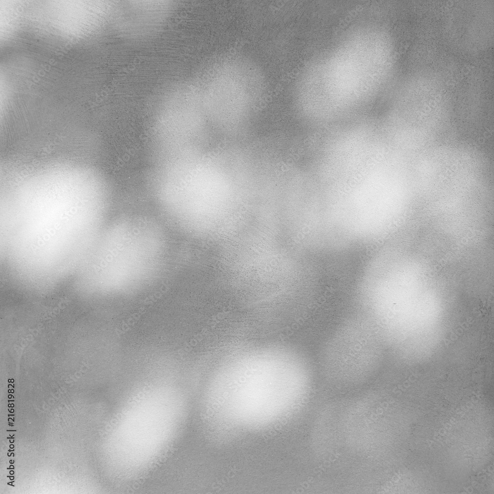 shadow of the leaves on a white wall shadow of the leaves on a white wall