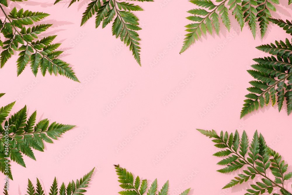 Handmade minimalist botanical interior decor, green tropical leaves in wooden frames hanging on pink background