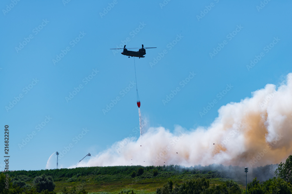 Fototapeta premium chinook helicopter extinguishes a large fire