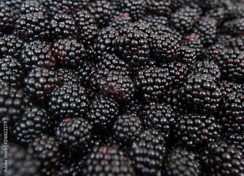  Fresh Summer Seasonal Ripe Blackberry