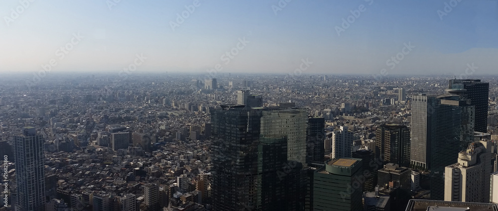 Panoramic view of Tokyo city