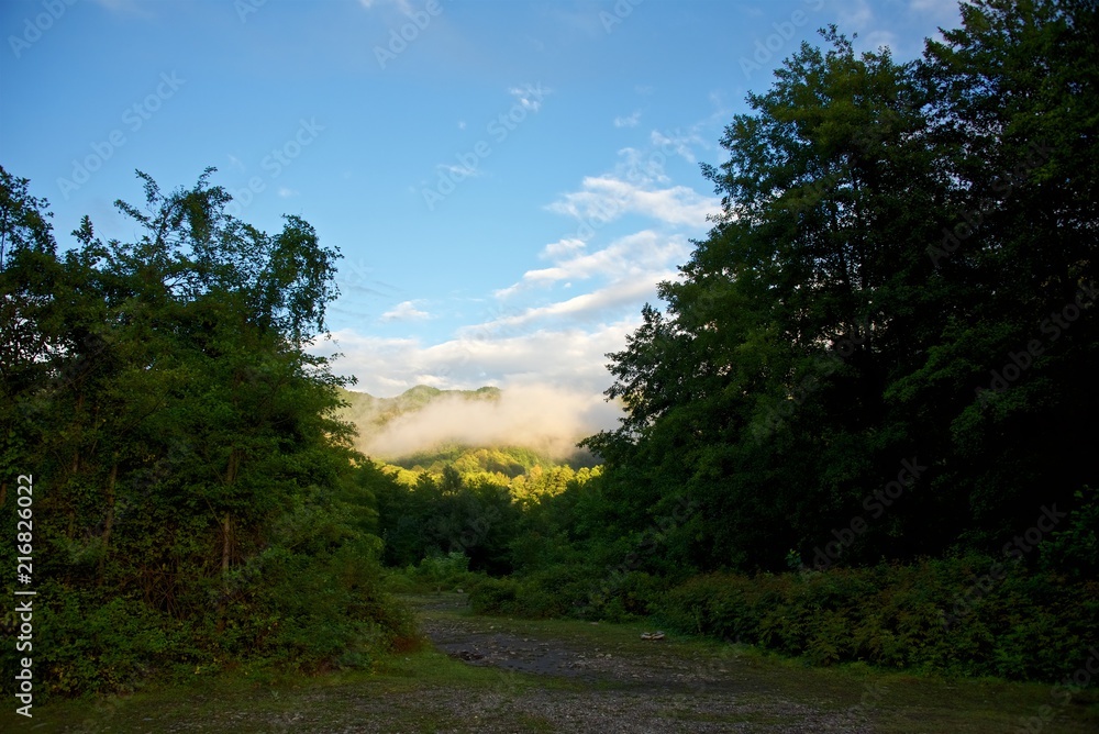 Mountains after rain. Summer season. Valley of the river. Fog over forest. Mountains after rain. Summer season. Valley of the river. Fog over forest.