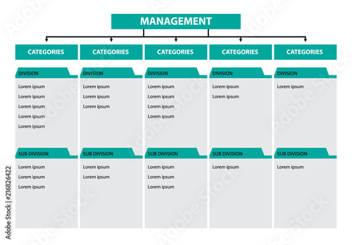 Infographic tree diagram management categories division subdivision timeline