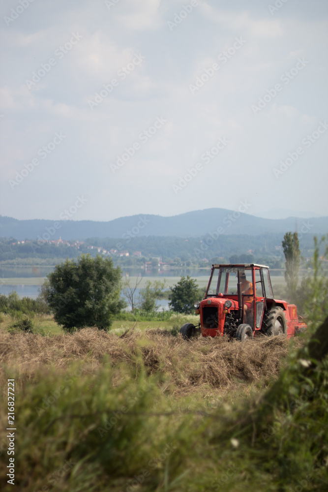 A tractor gathering hay (Prokosovici, Bosnia)