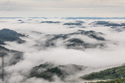 Morning Fog © Cris Ritchie Photo