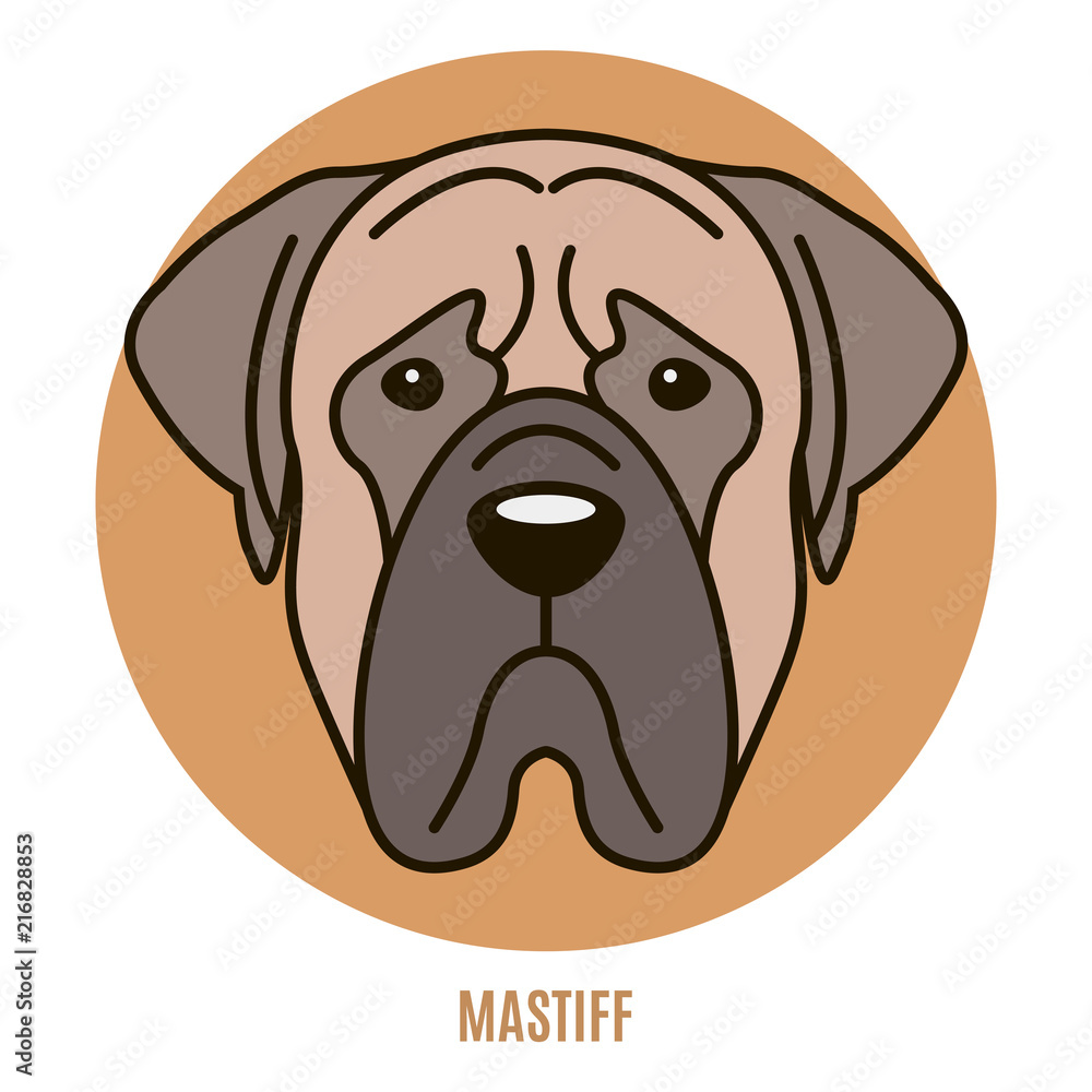 Portrait of Mastiff Portrait of Mastiff