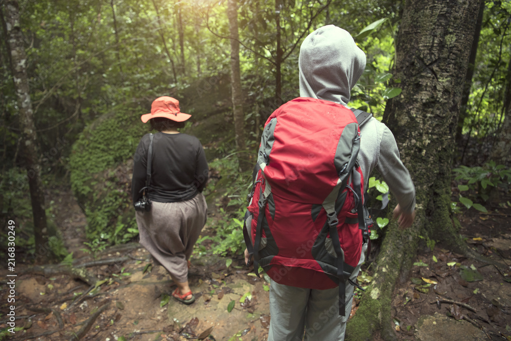 Group of Trekking in rainforest jungle. adventure and explorer concept.