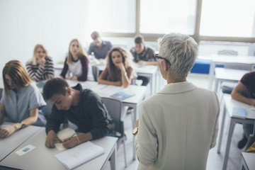 Teacher Teaching a Lesson