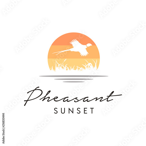 Beauty Flying Pheasant Bird over the creek river grass Silhouette for Wildlife Nature Sunset Logo design