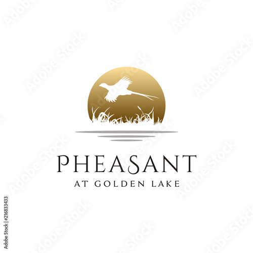Beauty Flying Pheasant Bird over the creek river grass Silhouette for Wildlife Nature Sunset Logo design	