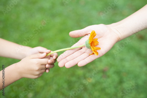 花を手渡す親子 © hakase420