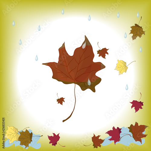 Autumn leaf with water droplets on a white background