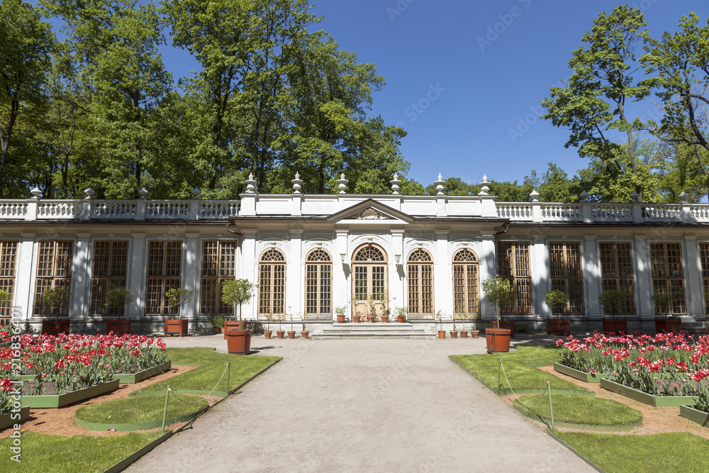 Fototapeta premium Small greenhouse in the Summer garden, St. Petersburg, Russia