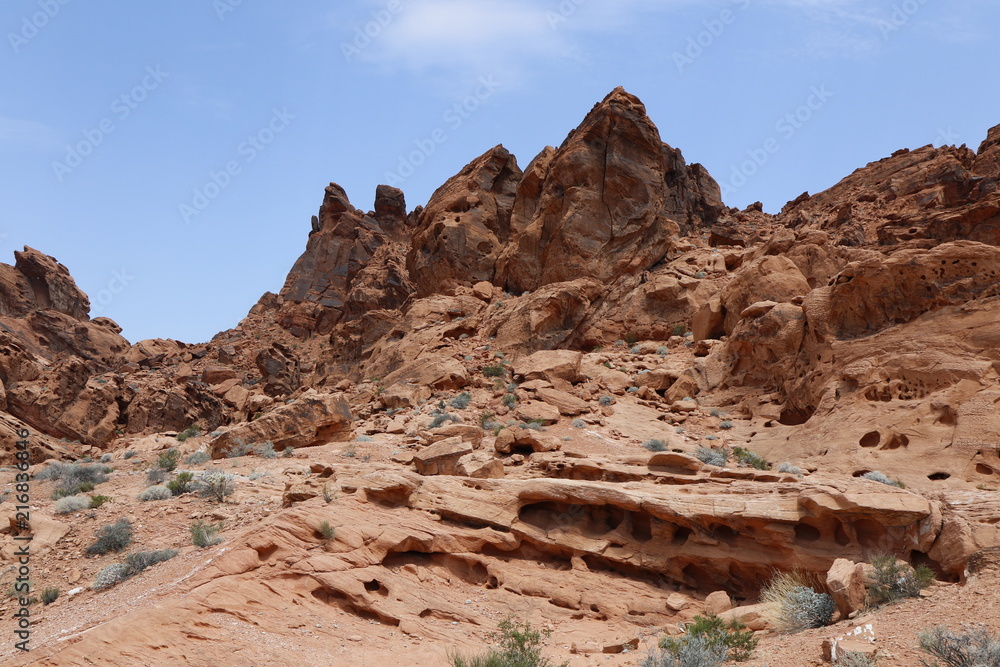 Fototapeta premium Wüste