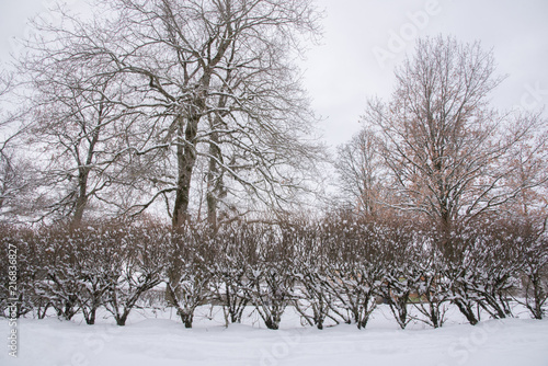 Wallpaper Mural Switzerland, Europe Torontodigital.ca