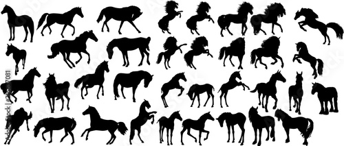 馬 アドビストックのデザイン かべいろ Com おしゃれ壁紙リフォーム貼り替え インクジェット壁紙のかべいろ Com