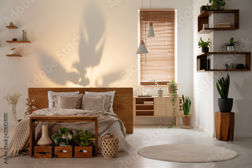 Shadow on the wall above a bed in a modern bedroom interior with wooden shelves, boxes and plants. Real photo