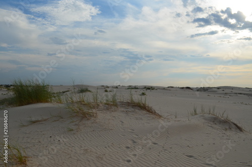 Monaghan's Sandhills State Park, Tx.
Even ig in the Park photo