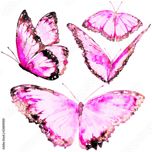 beautiful pink butterflies, set, watercolor, isolated on a white © aboard