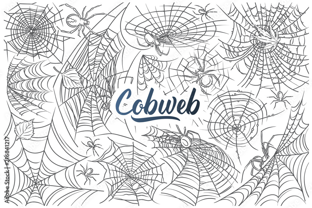 Hand drawn spider and web Hand drawn spider and web