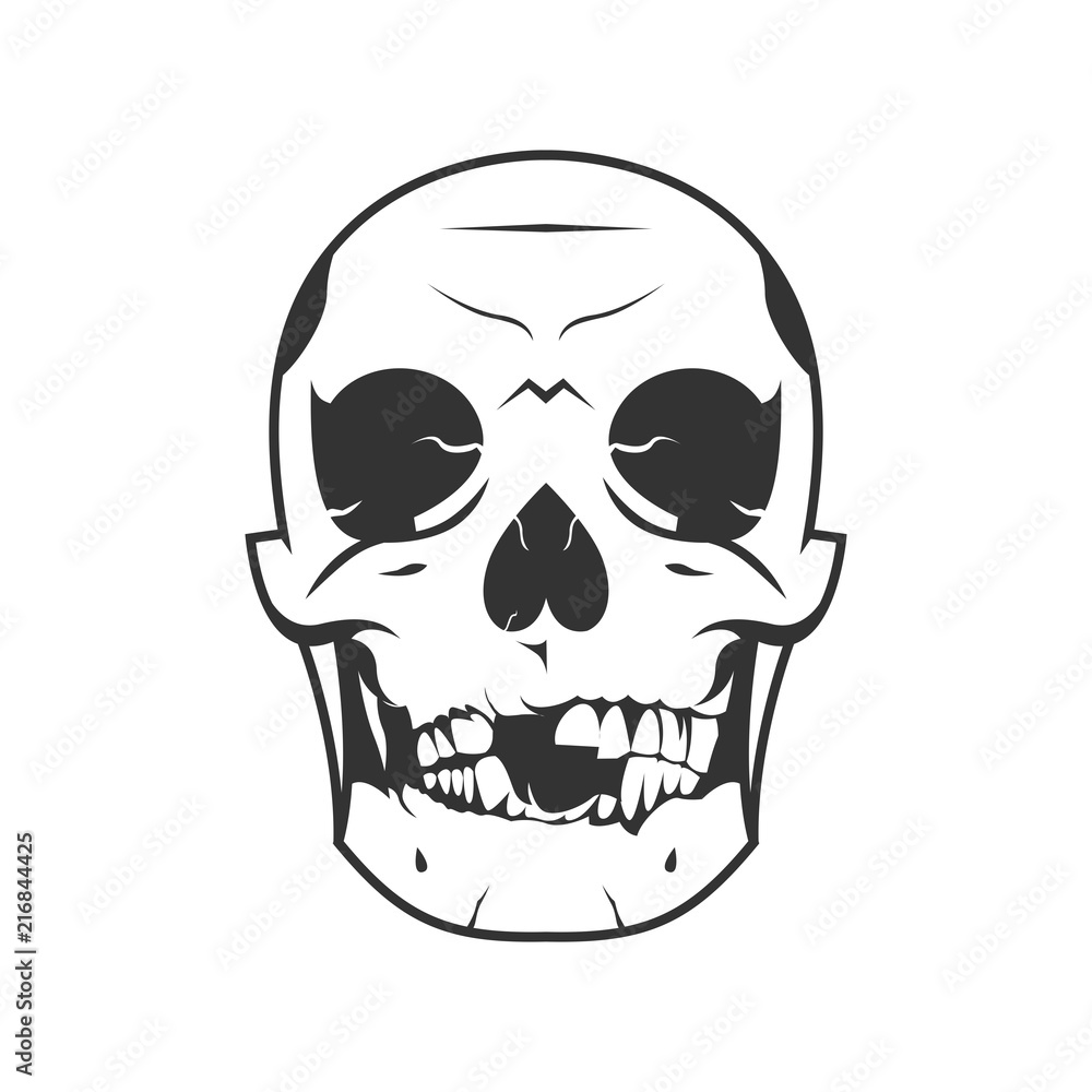 skull illustration