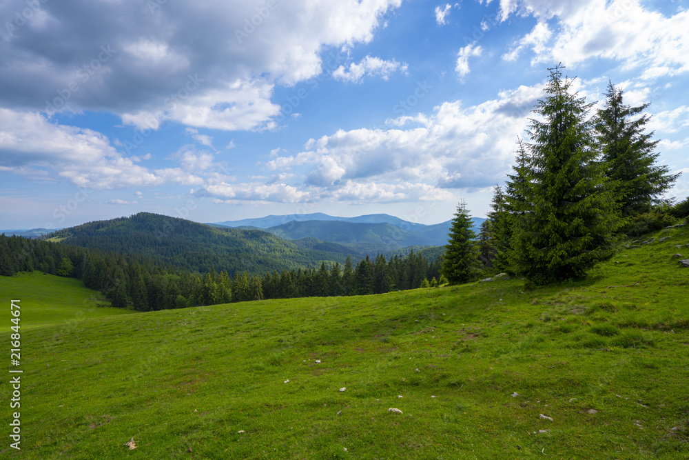 Mountain Apuseni Zona Padis Romania on the peak