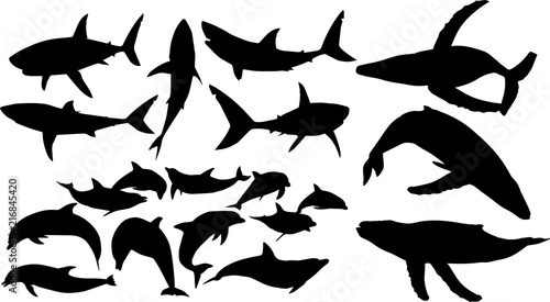 サメとクジラとイルカのシルエット Stock ベクター Adobe Stock サメとクジラとイルカのシルエット Stock ベクター Adobe Stock