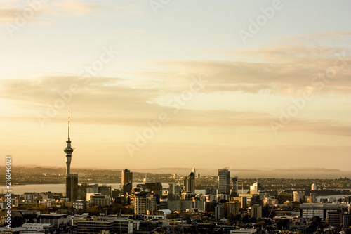 View over Auckland in New Zealand from Mt Mount Eden Vulcano Oceania City scape