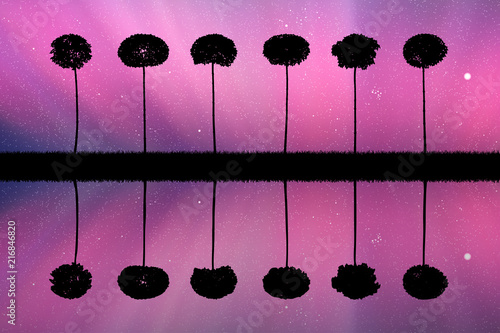 Landscape with trees at night. Vector illustration with isolated silhouettes of maples reflected in water. Northern lights in starry sky. Colorful aurora borealis