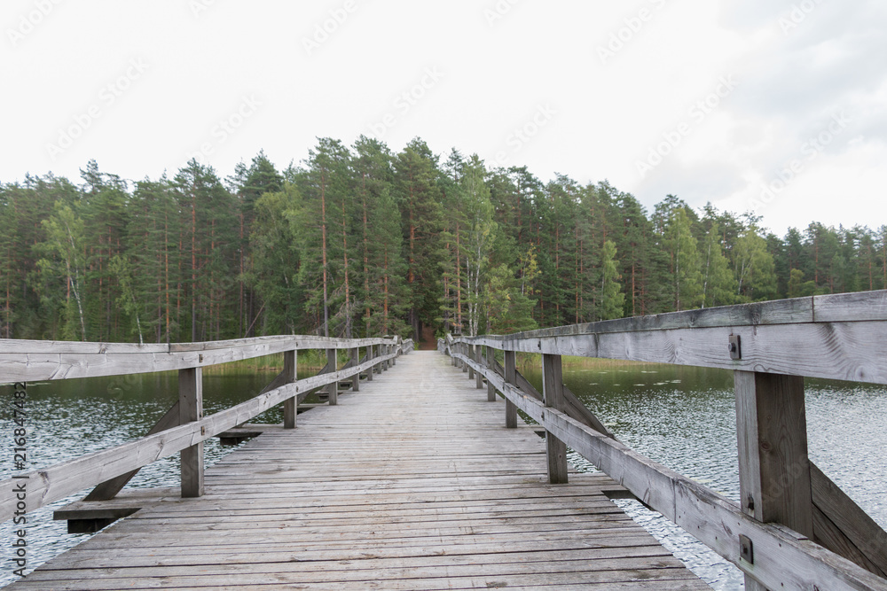 Wooden bridge over the river. Green forest.