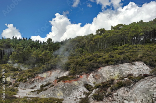 New Zealand. Zone of geothermal activity in the vicinity of Rotorua.