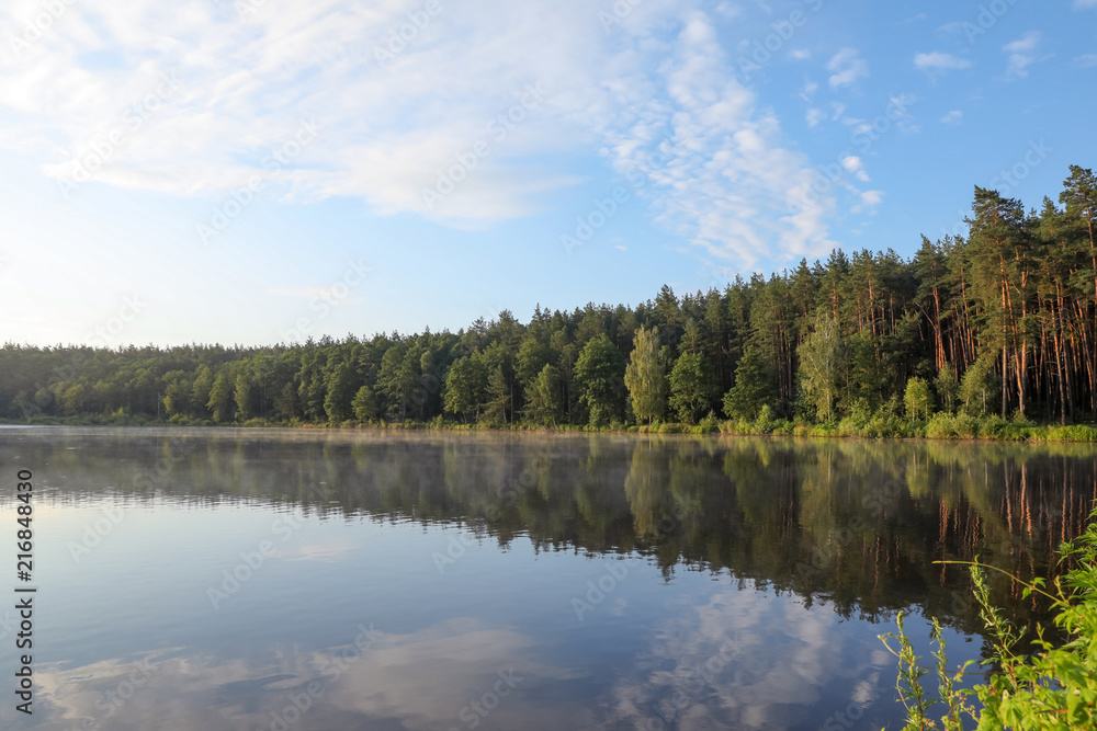 Beautiful landscape with forest near lake. Camping season
