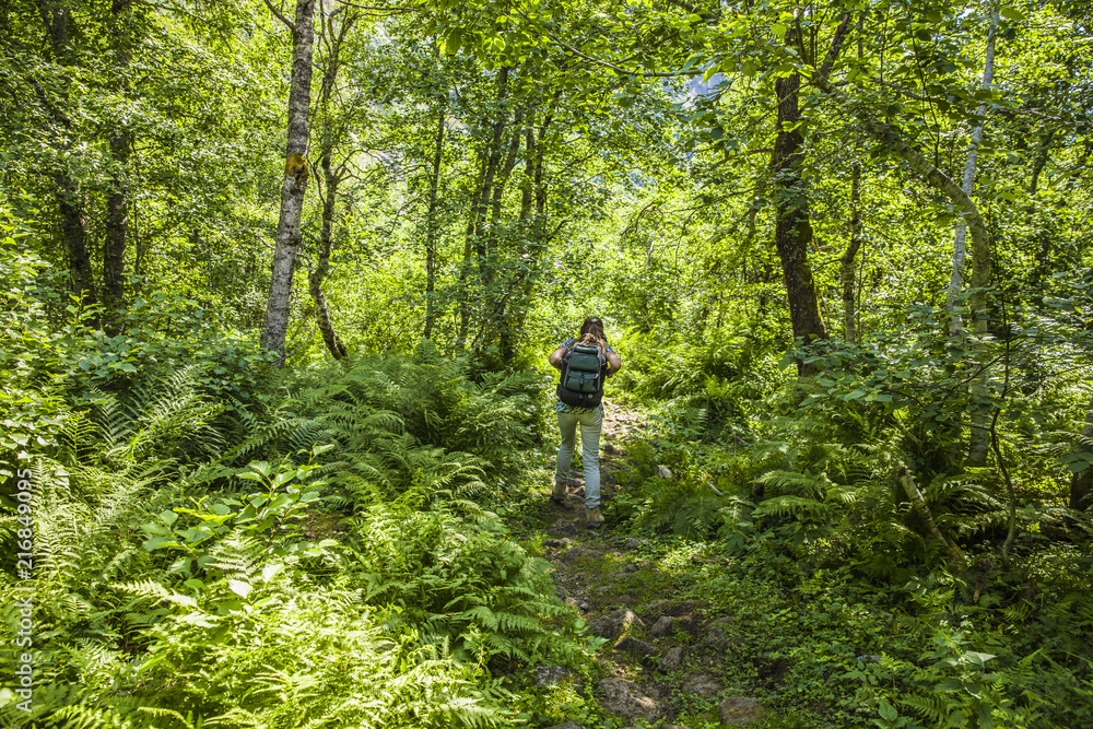 Wandern durch Urwald Wandern durch Urwald