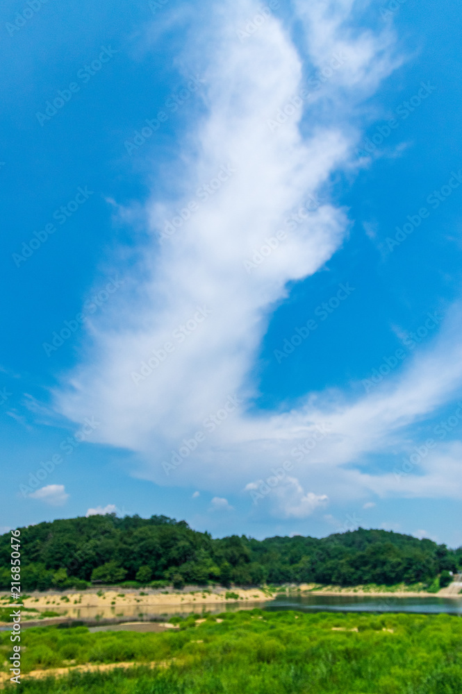 Obraz premium 丹生湖ひまわり畑