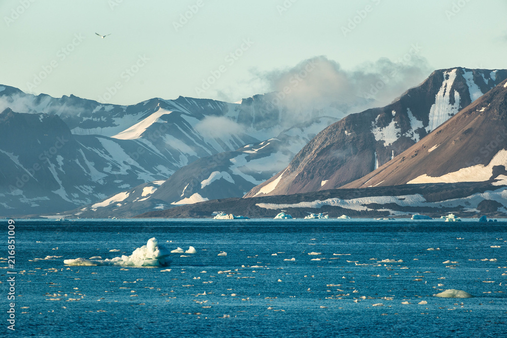 Declining Arctic glaciers. Southern Spitsbergen.