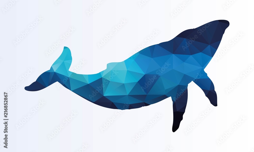 Naklejka premium Wieloboczny wieloryb