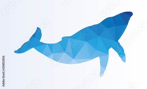 Polygonal Whale