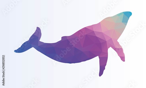 Polygonal Whale