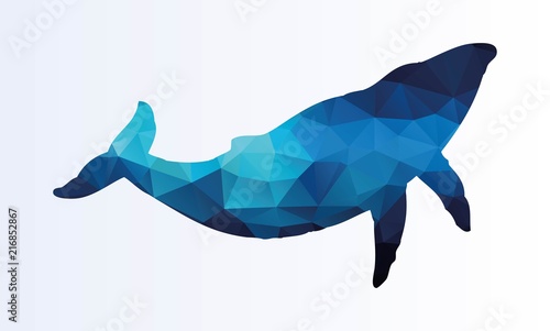 Polygonal Whale