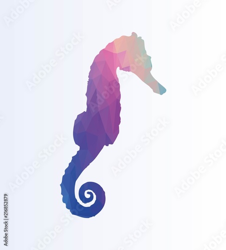 Polygonal Seahorse